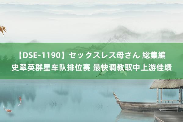 【DSE-1190】セックスレス母さん 総集編 史翠英群星车队排位赛 最快调教取中上游佳绩