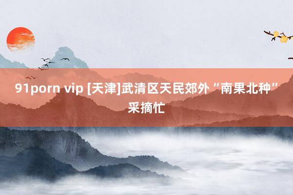 91porn vip [天津]武清区天民郊外“南果北种”采摘忙