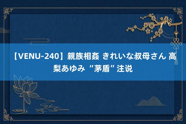 【VENU-240】親族相姦 きれいな叔母さん 高梨あゆみ “茅盾”注说