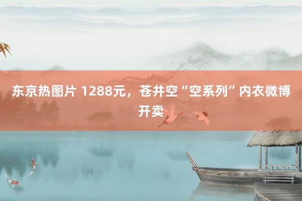 东京热图片 1288元，苍井空“空系列”内衣微博开卖