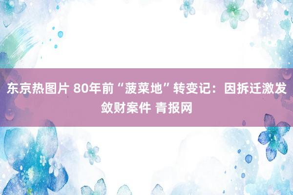 东京热图片 80年前“菠菜地”转变记：因拆迁激发敛财案件 青报网