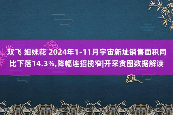 双飞 姐妹花 2024年1-11月宇宙新址销售面积同比下落14.3%，降幅连招揽窄|开采贪图数据解读