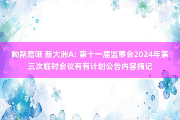 呦剐蹭哦 新大洲A: 第十一届监事会2024年第三次临时会议有有计划公告内容摘记